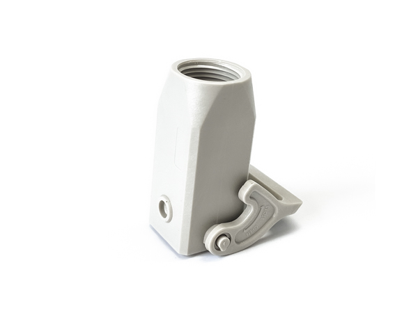 H3A.P-CCT-1L-M20